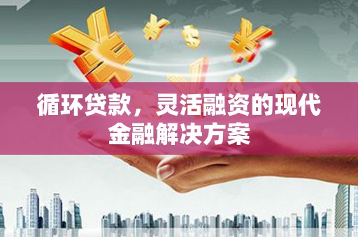 寻甸循环贷款，灵活融资的现代金融解决方案