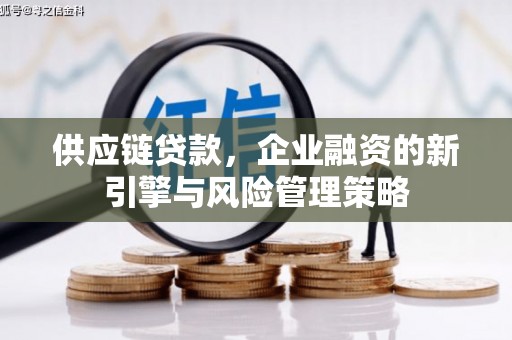 寻甸供应链贷款，企业融资的新引擎与风险管理策略