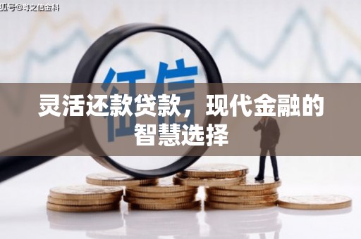 寻甸灵活还款贷款，现代金融的智慧选择