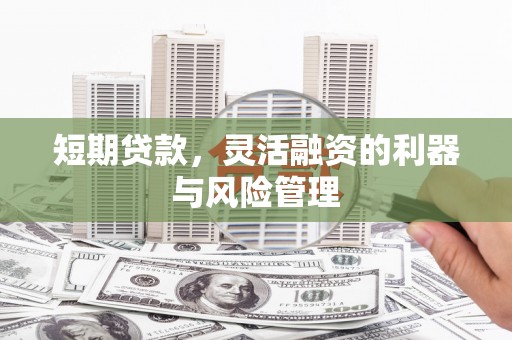 寻甸短期贷款，灵活融资的利器与风险管理