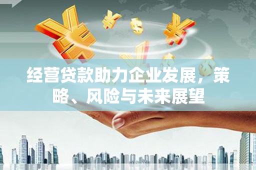 寻甸经营贷款助力企业发展，策略、风险与未来展望
