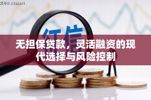 寻甸无担保贷款，灵活融资的现代选择与风险控制