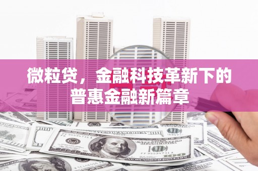 寻甸微粒贷，金融科技革新下的普惠金融新篇章