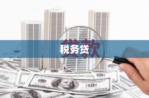 寻甸税务贷