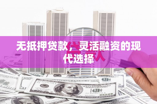 寻甸无抵押贷款，灵活融资的现代选择