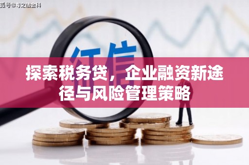 寻甸探索税务贷，企业融资新途径与风险管理策略