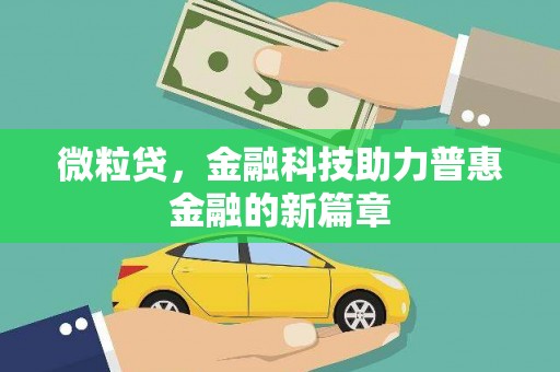 寻甸微粒贷，金融科技助力普惠金融的新篇章