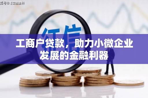 寻甸工商户贷款，助力小微企业发展的金融利器