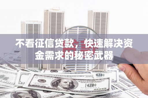 寻甸不看征信贷款，快速解决资金需求的秘密武器