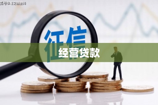 寻甸经营贷款