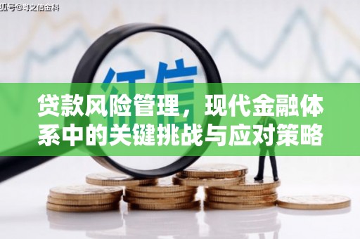寻甸贷款风险管理，现代金融体系中的关键挑战与应对策略