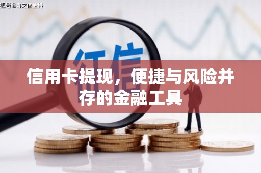 寻甸信用卡提现，便捷与风险并存的金融工具