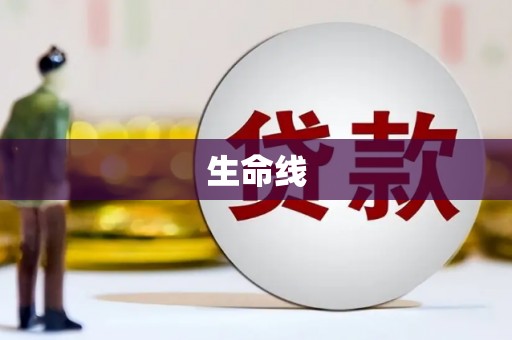寻甸生命线