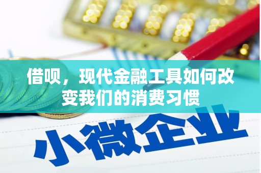 寻甸借呗，现代金融工具如何改变我们的消费习惯