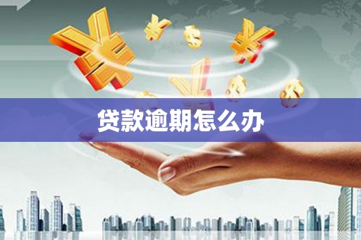 寻甸贷款逾期怎么办
