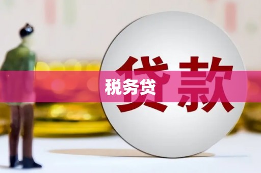 寻甸税务贷