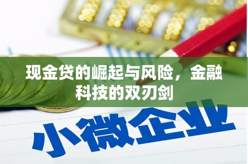 寻甸现金贷的崛起与风险，金融科技的双刃剑