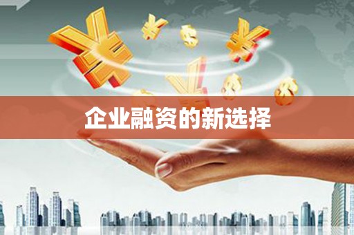 寻甸企业融资的新选择