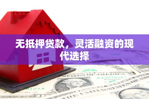 寻甸无抵押贷款，灵活融资的现代选择