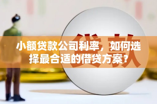 寻甸小额贷款公司利率，如何选择最合适的借贷方案？