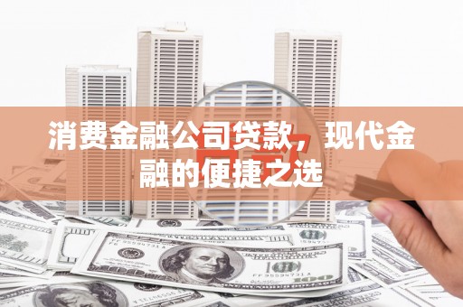 寻甸消费金融公司贷款，现代金融的便捷之选
