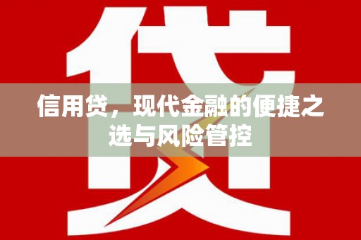 寻甸信用贷，现代金融的便捷之选与风险管控
