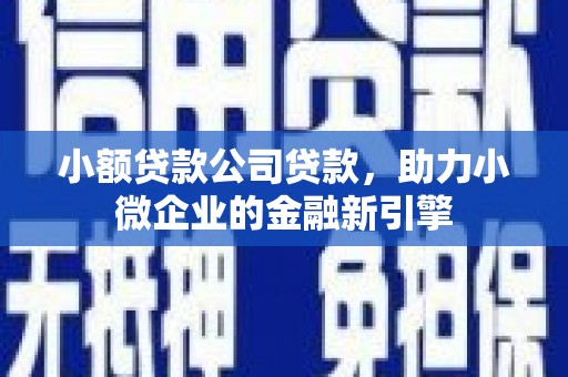 寻甸小额贷款公司贷款，助力小微企业的金融新引擎