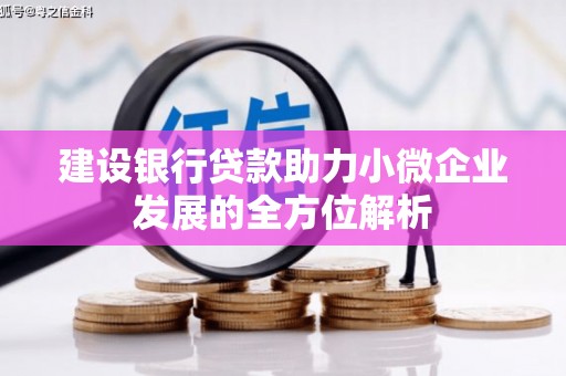 寻甸建设银行贷款助力小微企业发展的全方位解析