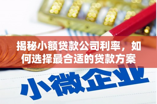 寻甸揭秘小额贷款公司利率，如何选择最合适的贷款方案