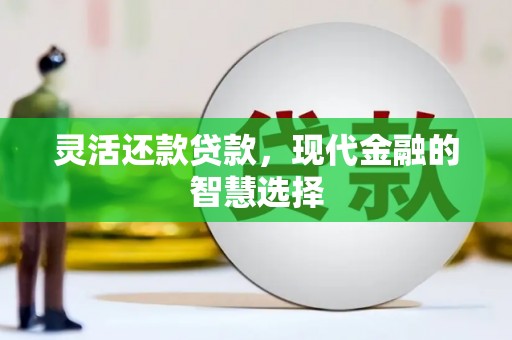 寻甸灵活还款贷款，现代金融的智慧选择
