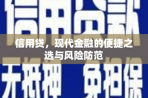 寻甸信用贷，现代金融的便捷之选与风险防范