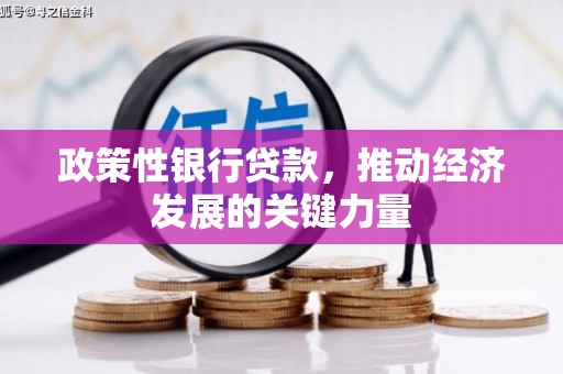 寻甸政策性银行贷款，推动经济发展的关键力量