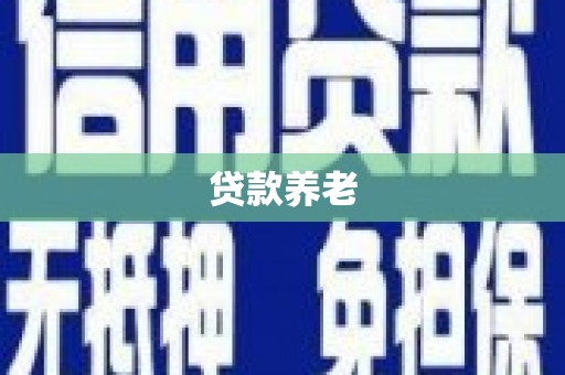 寻甸贷款养老
