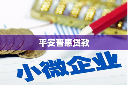 寻甸平安普惠贷款