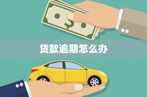寻甸贷款逾期怎么办