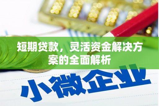 寻甸短期贷款，灵活资金解决方案的全面解析