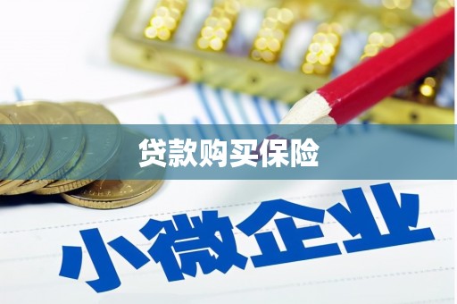 寻甸贷款购买保险