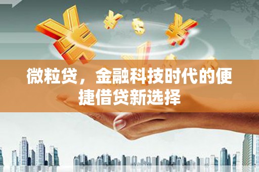 寻甸微粒贷，金融科技时代的便捷借贷新选择