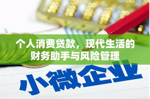 寻甸个人消费贷款，现代生活的财务助手与风险管理