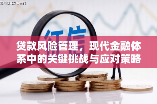 寻甸贷款风险管理，现代金融体系中的关键挑战与应对策略