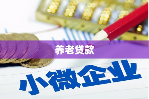 寻甸养老贷款