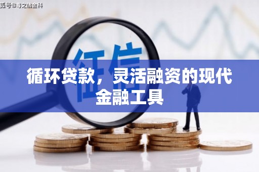 寻甸循环贷款，灵活融资的现代金融工具