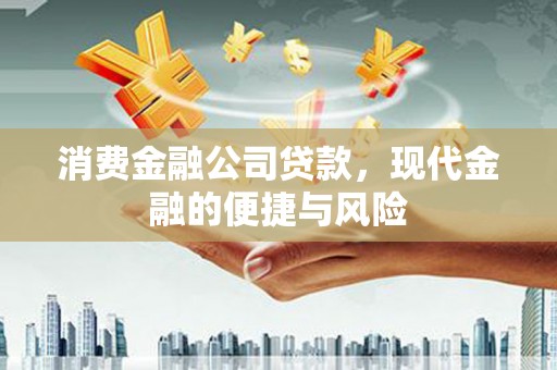寻甸消费金融公司贷款，现代金融的便捷与风险