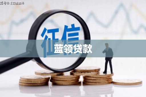 寻甸蓝领贷款