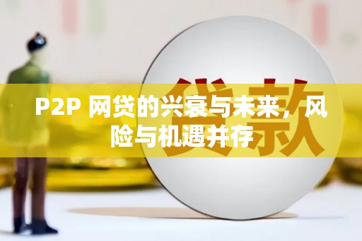 寻甸P2P 网贷的兴衰与未来，风险与机遇并存