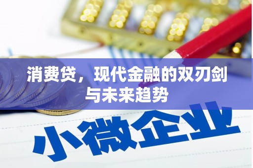 寻甸消费贷，现代金融的双刃剑与未来趋势