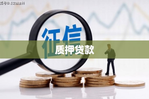 寻甸质押贷款