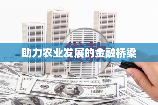 寻甸助力农业发展的金融桥梁