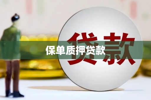 寻甸保单质押贷款