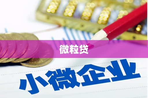 寻甸微粒贷
